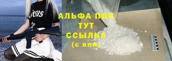 стаф Алексин