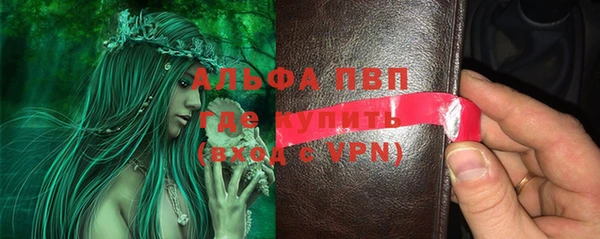 стаф Алексин