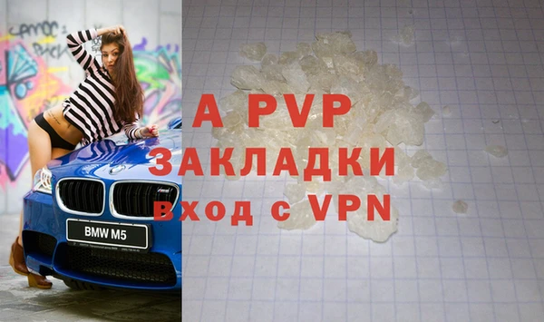 стаф Алексин