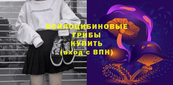 стаф Алексин
